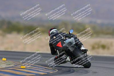 media/Dec-09-2023-SoCal Trackdays (Sat) [[76a8ac2686]]/Turn 14 Backside (1050am)/